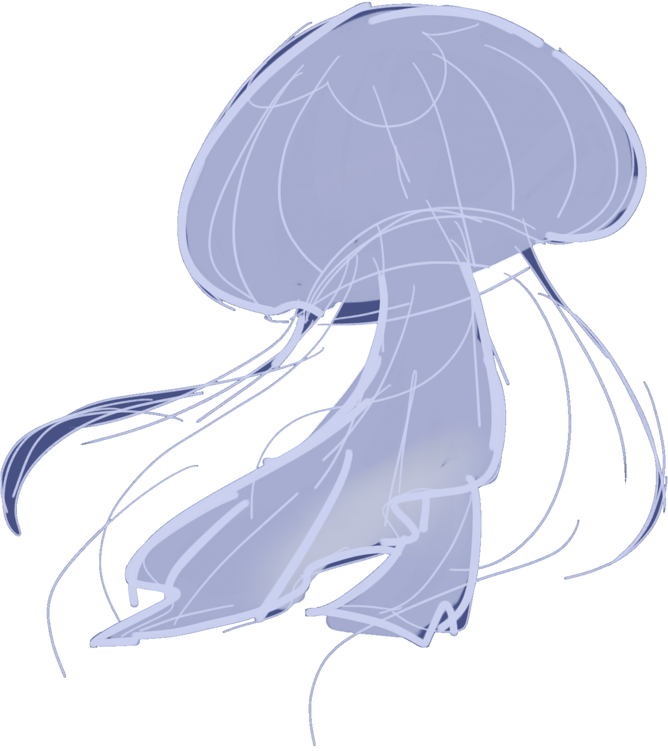 クラゲのイラスト
