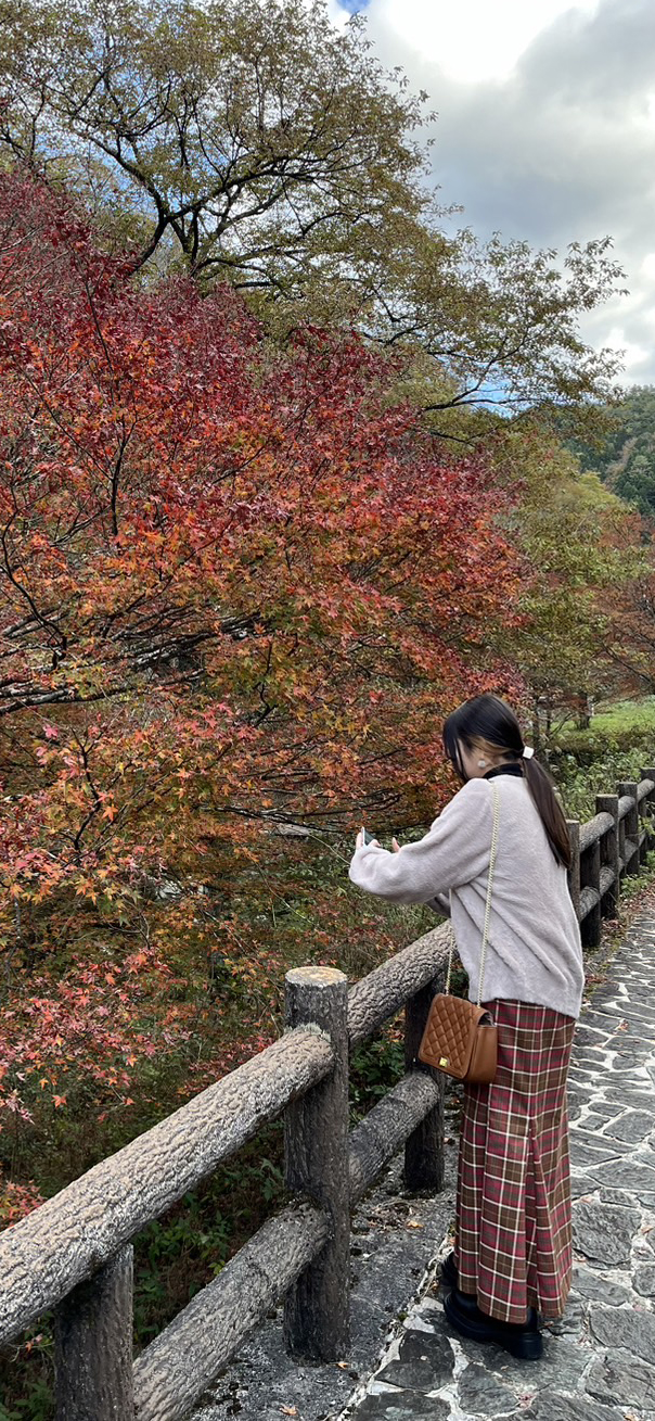 紅葉の写真